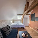 Apartment Evasion Chic, Et Sauna Sous Les Toits Nancy