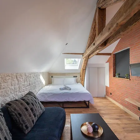 Apartment Evasion Chic, Et Sauna Sous Les Toits Nancy