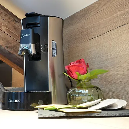 Evasion Chic, Et Sauna Sous Les Toits ナンシー