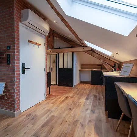Appartement Evasion Chic, Et Sauna Sous Les Toits Nancy