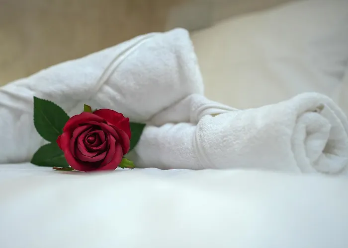 Appartement Evasion Chic, Et Sauna Sous Les Toits Nancy