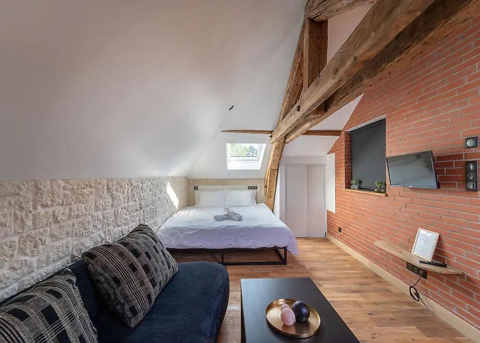 Appartement Evasion Chic, Et Sauna Sous Les Toits Nancy