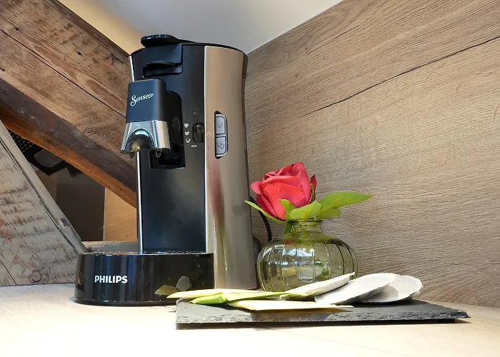 Evasion Chic, Et Sauna Sous Les Toits ナンシー