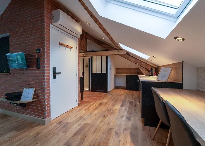 Appartement Evasion Chic, Et Sauna Sous Les Toits Nancy